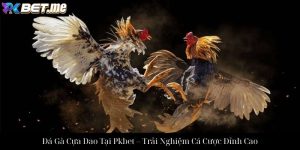 Khám Phá Đá Gà Đòn Tại Pkbet – Hướng Dẫn Chi Tiết