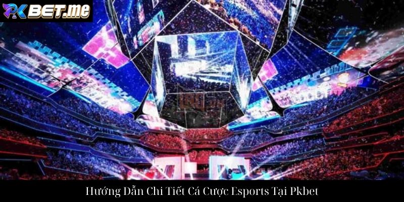 Hướng Dẫn Chi Tiết Cá Cược Esports Tại Pkbet
