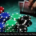 Hướng Dẫn Chi Tiết Về Bài Catte Tại Pkbet