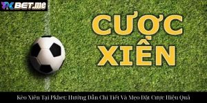 Cá Cược Bóng Chuyền Tại Pkbet: Hướng Dẫn Toàn Tập Cho Người Chơi